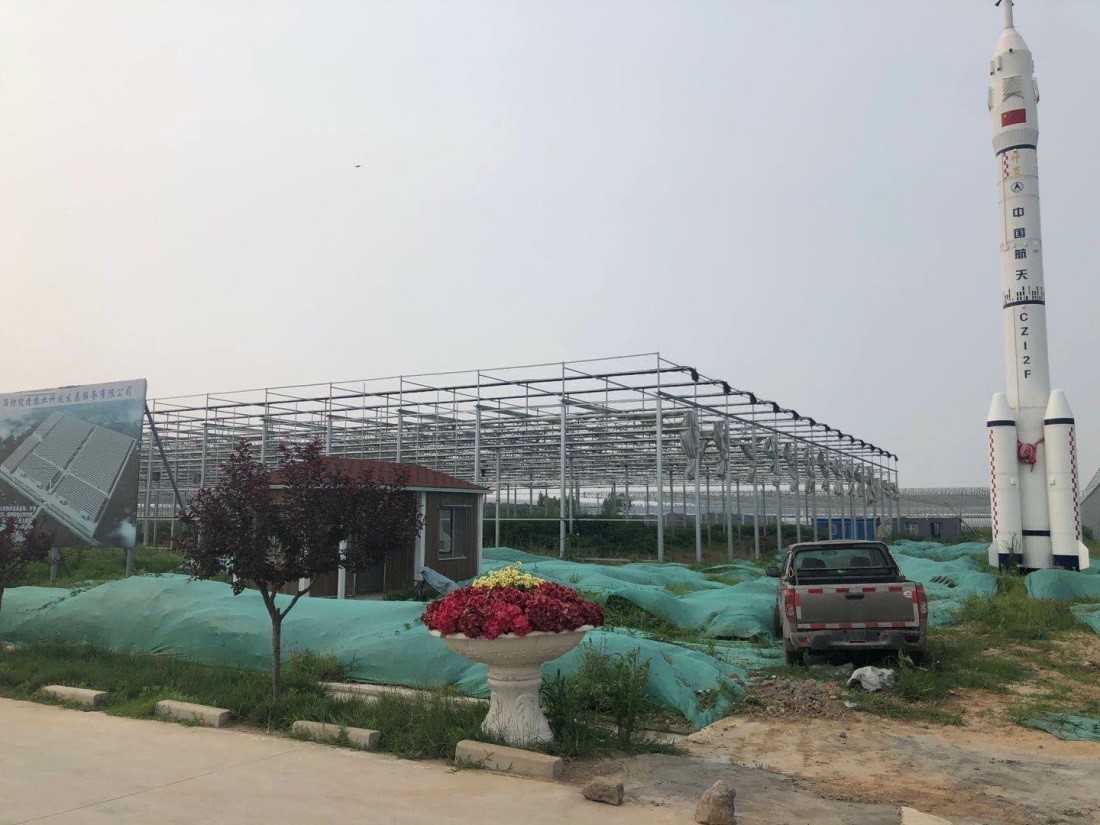 China Shandong Province hydroponic strawberry farm related to HEH-201 Supreme use