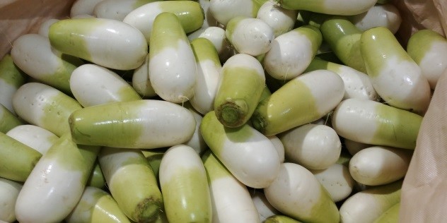 Lettuce and radish cultivation field result with HEH-201 Supreme in Jeju